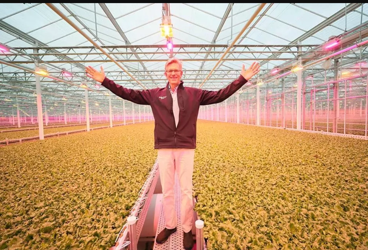 Entrepreneur plants aggressive growth plans for lettuce business (Boston Globe)