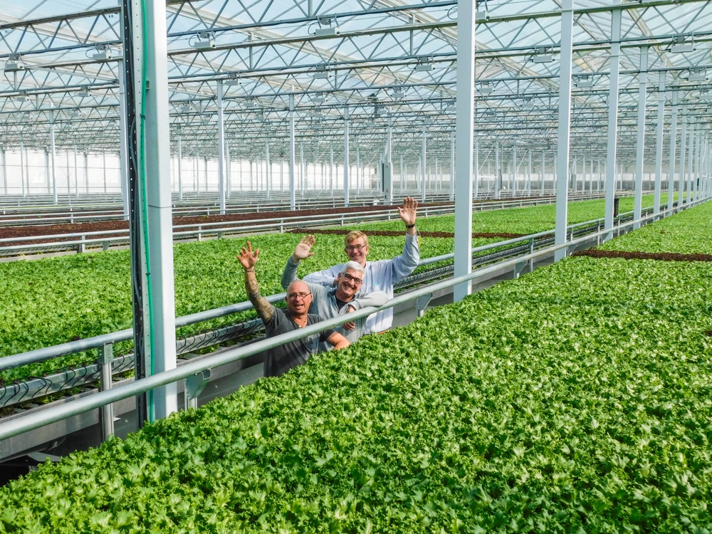 Little Leaf doubles hydroponic growing capacity in Devens (Worcester Business Journal)
