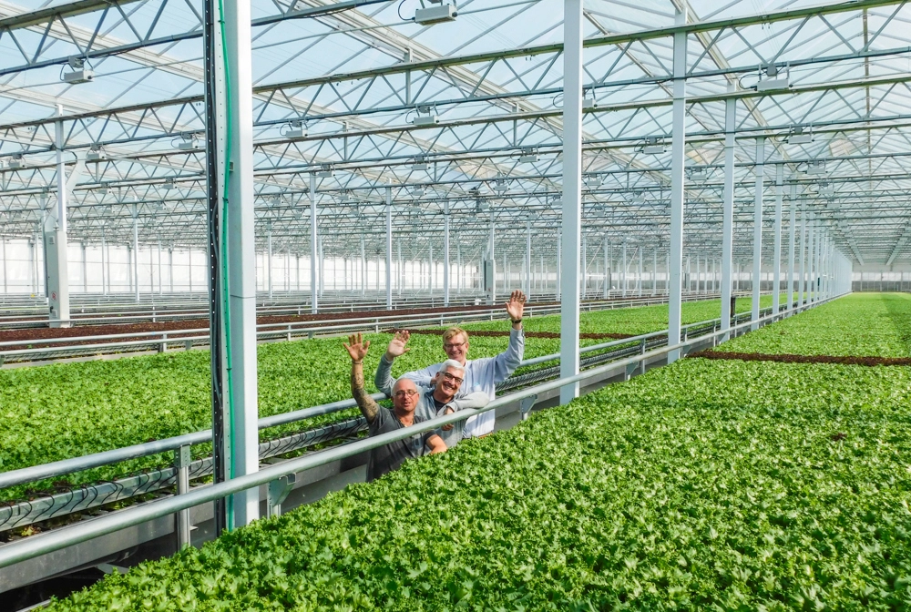 Indoor Lettuce Farm Sees Demand Grow (NECN)