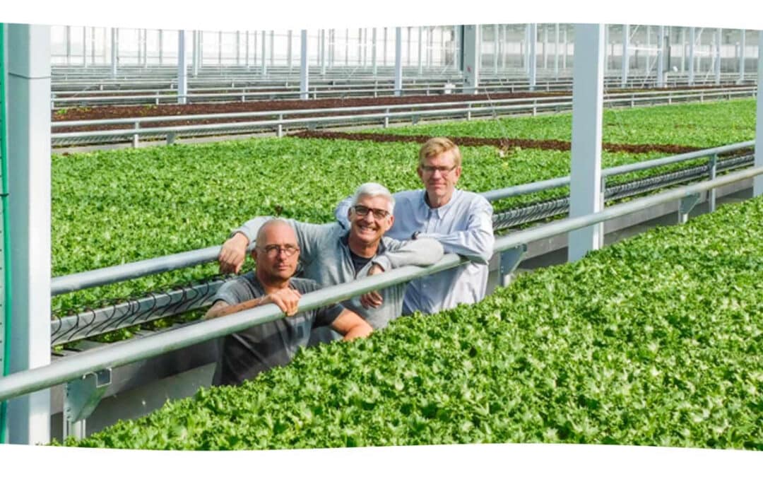 Growing Hydroponic and Aquaponic Food (WCAI)
