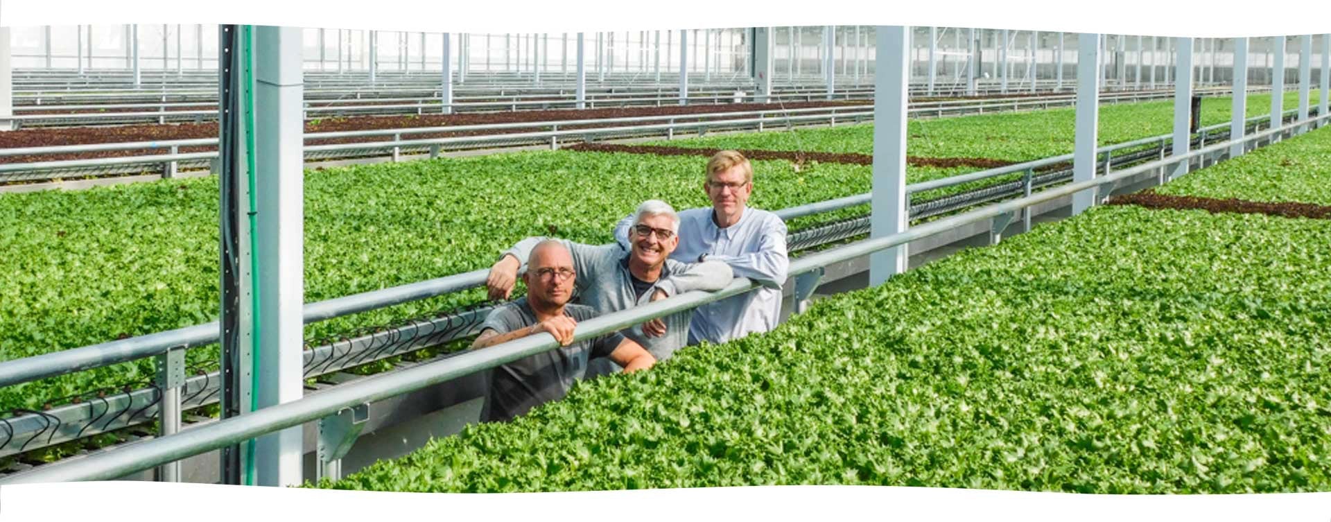 our story little leaf lettuce CEO and founders