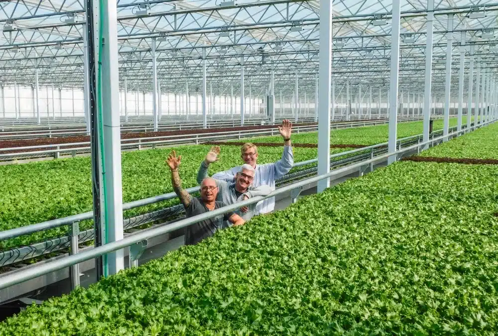 Little Leaf doubles hydroponic growing capacity in Devens (Worcester Business Journal)