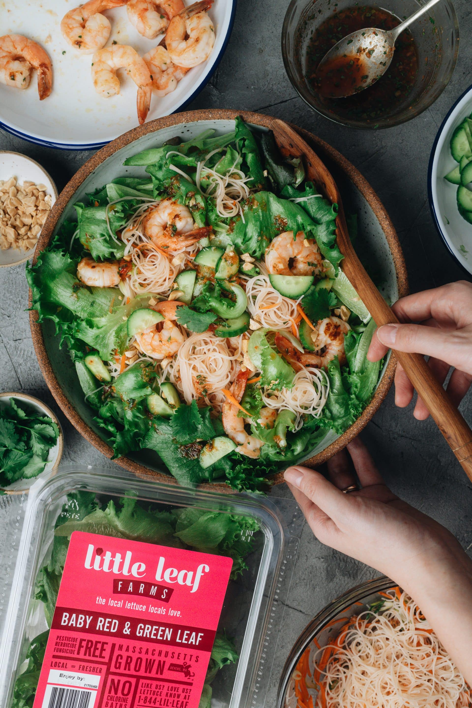Vietnamese Rice Noodle Salad - Little Leaf Farms