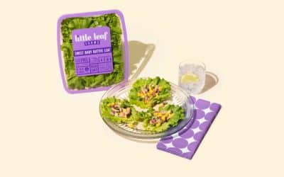 Sweet Baby Butter Leaf BBQ Chicken Wraps