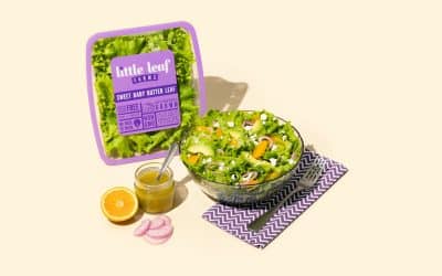 Sweet Baby Butter Leaf Salad with Lemon Hot Honey Vinaigrette