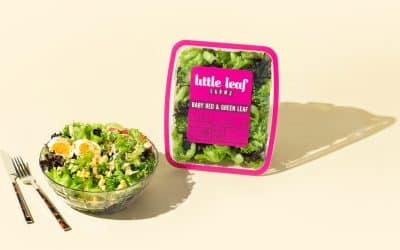 Chili Crisp Salad
