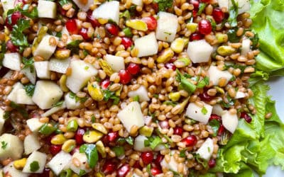 Wheat Berry, Pomegranate, Apple, and Pistachio Salad