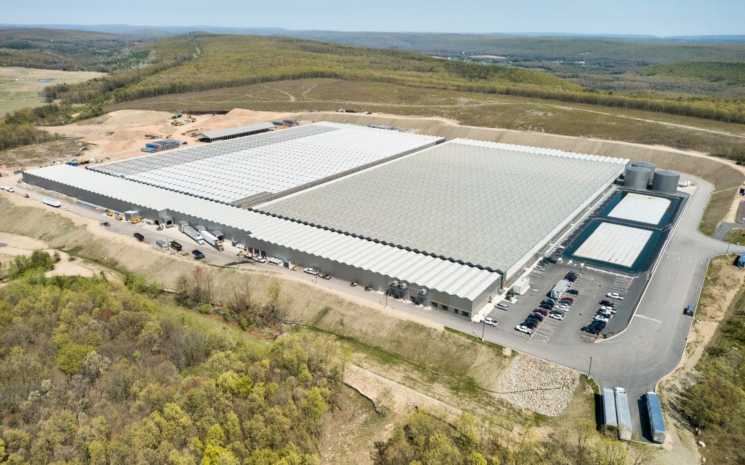 Greenhouse grower broadly expands across the US East Coast (HortiDaily)
