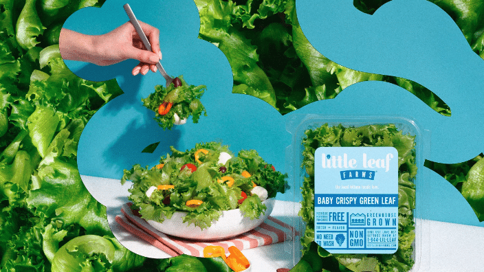 Can you really trademark the shape of lettuce? We’re about to find out (Fast Company)