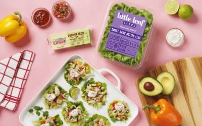 Mexican Chicken Salad Lettuce Cups