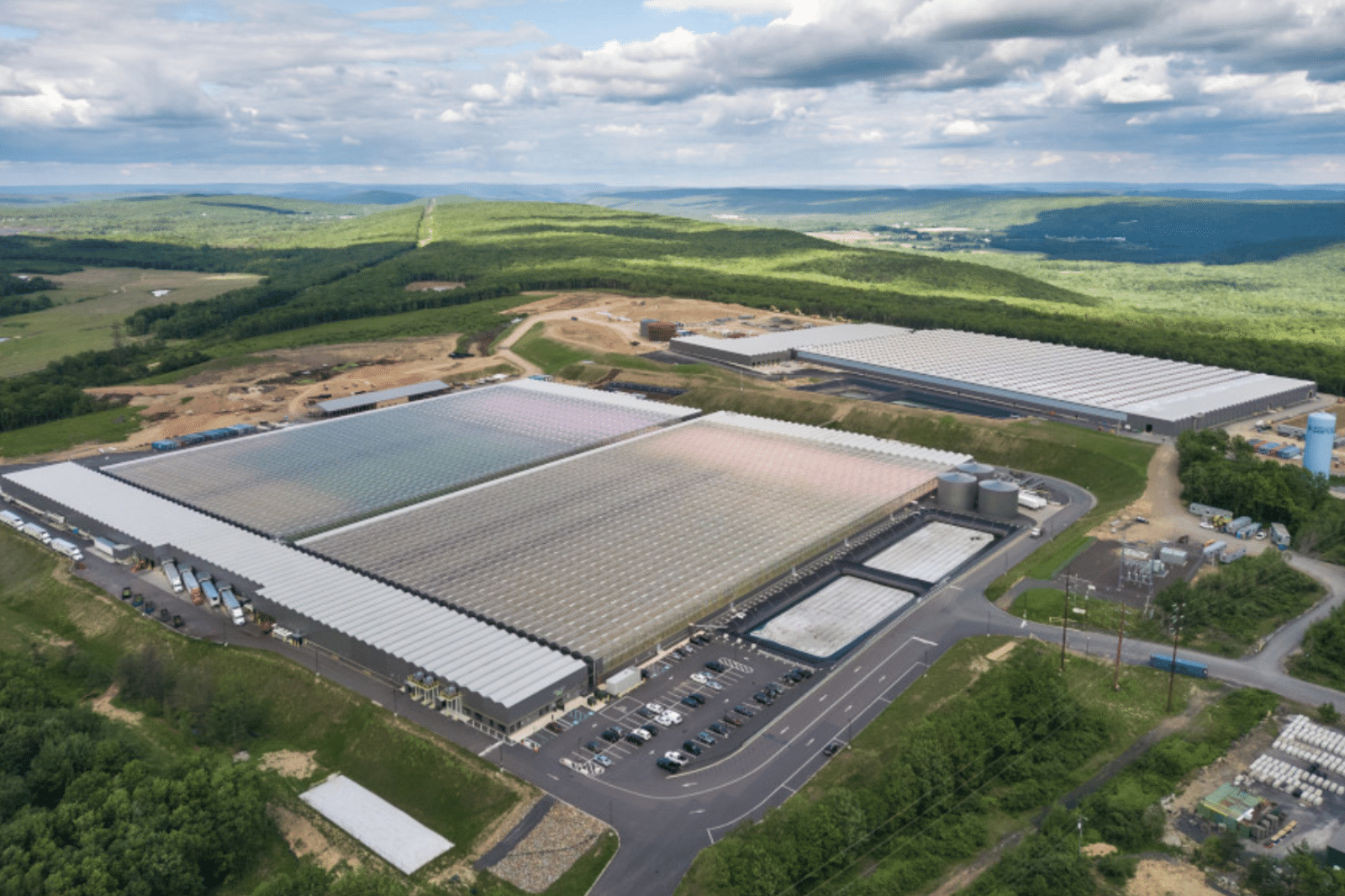 With New Greenhouse, Little Leaf Farms Operates Largest Leafy Greens CEA Facility in North America