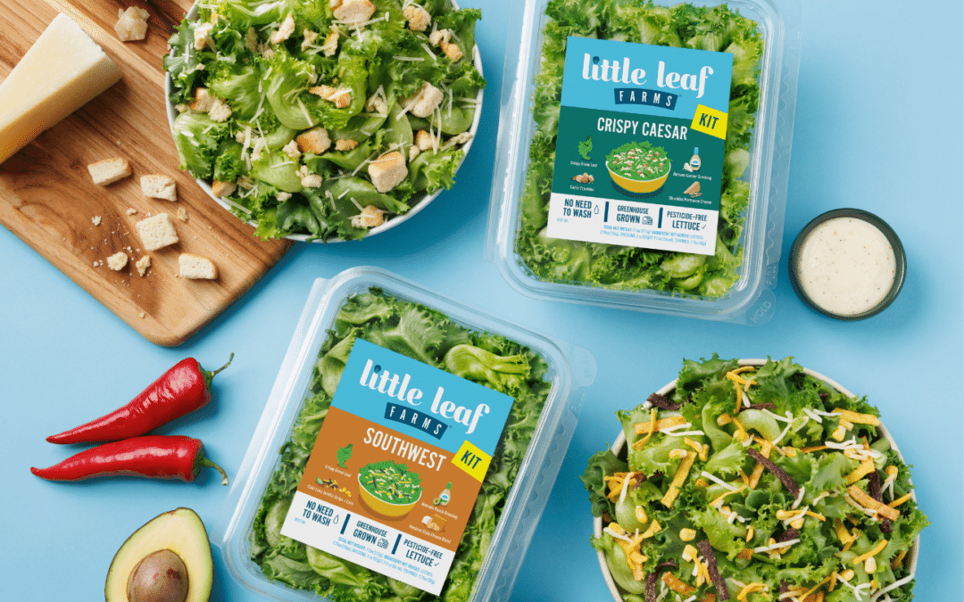 Convenience, Innovation Flavor Salad Kit Sales (Produce Business)