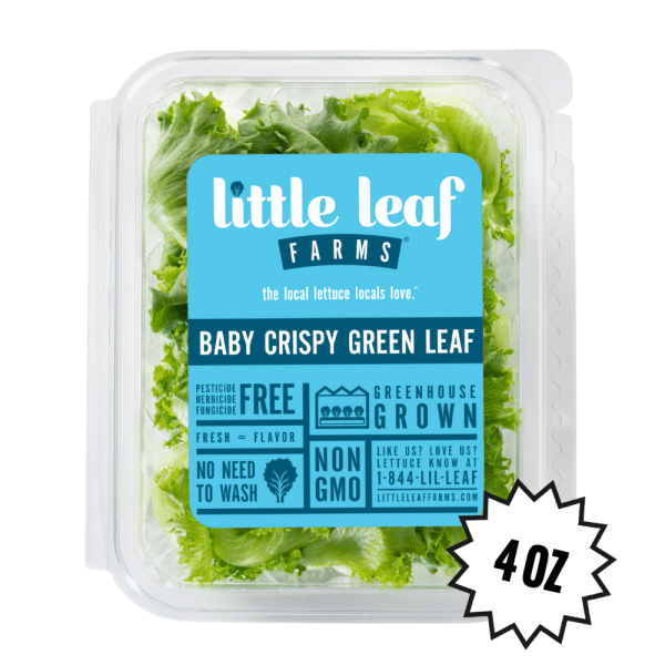 Baby Crispy Green Leaf - Image 2