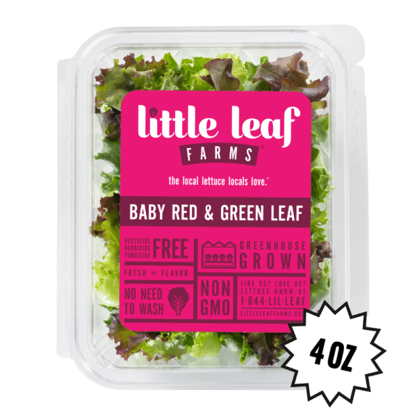 Baby Red & Green Leaf - Image 2