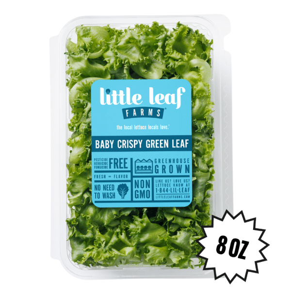 Baby Crispy Green Leaf - Image 4
