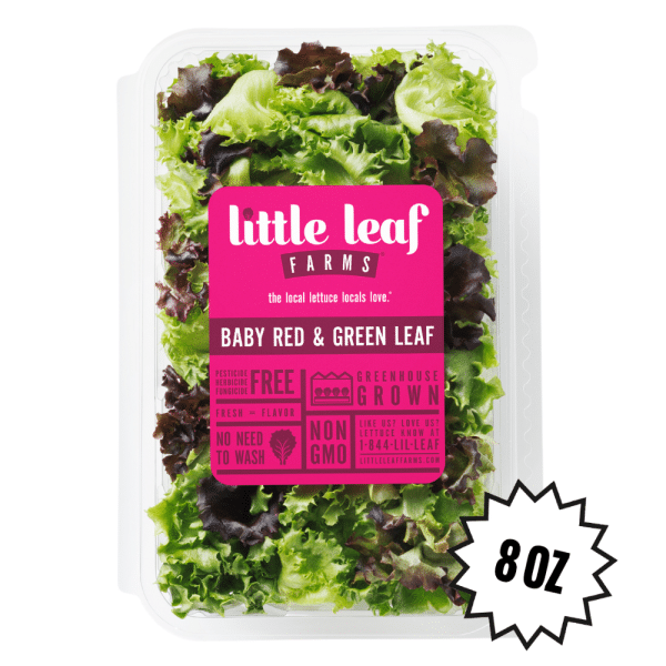 Baby Red & Green Leaf - Image 4