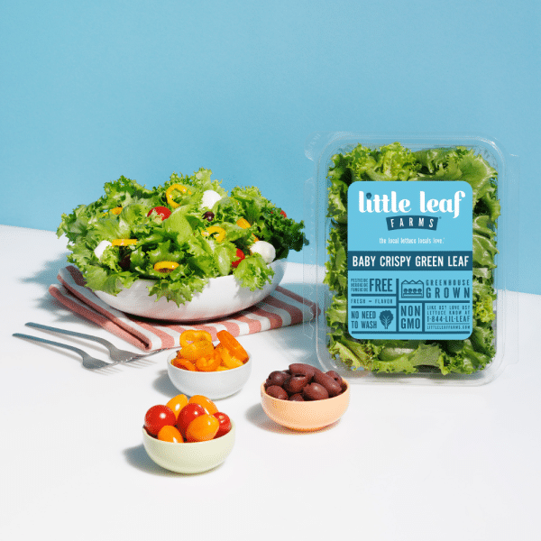 Baby Crispy Green Leaf
