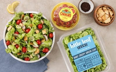 Crispy Mediterranean Fattoush Salad