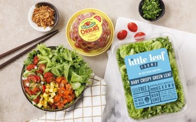 Hawaiian-Inspired Poke Salad