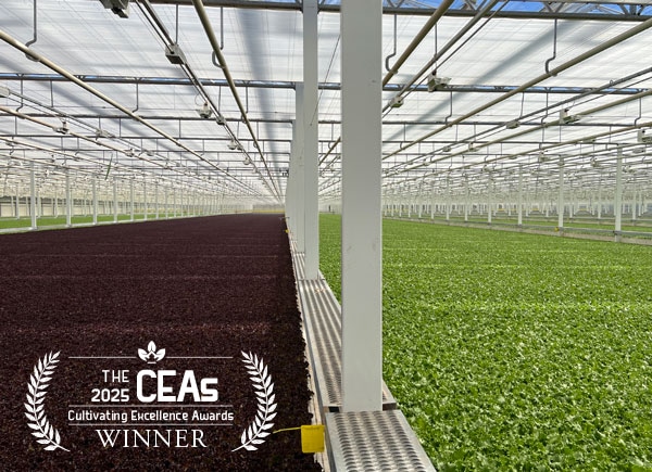 Little Leaf Farms Wins Operational Excellence Award at Indoor Ag-Con (Inside Grower)