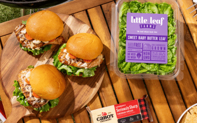 Spicy Chipotle Cheddar Chicken Sandwich
