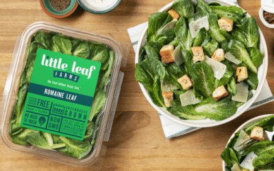 Classic Caesar Salad