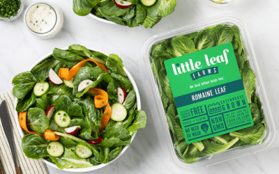 Romaine Leaf Ranch Salad