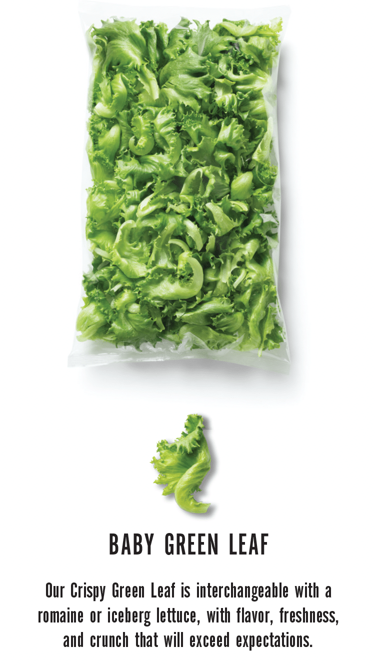 Is It Salad?