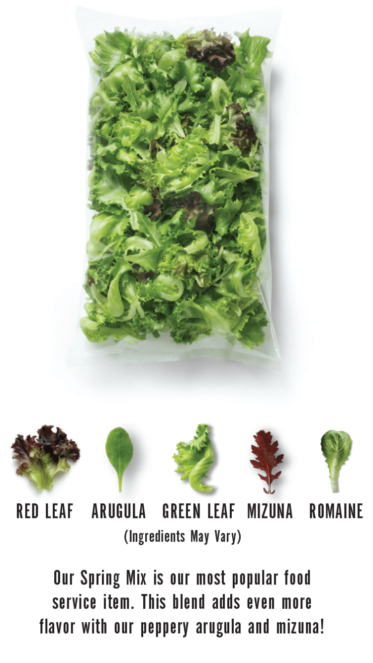 Is It Salad?
