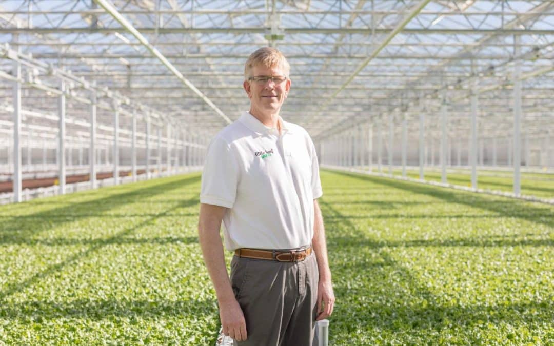 Little Leaf Farms’ CEO on Building an Indoor Ag Business: ‘Any logical approach to growing a plant would include the sun’ (AgFunder)