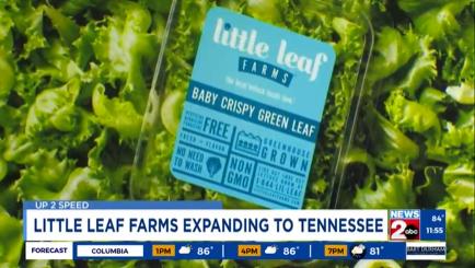 Lettuce Farm Bringing 300+ Jobs to Coffee County (WKRN)